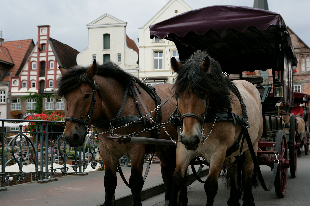 4061_ilmenau_lueneburg3