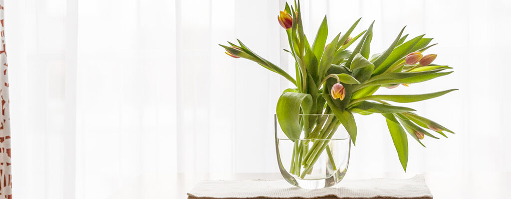 1099-blumen-1250x400