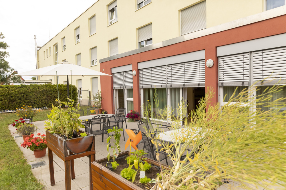 Korian_3097_Schauinsland _Tiefenbronn_19_07_3023_1625