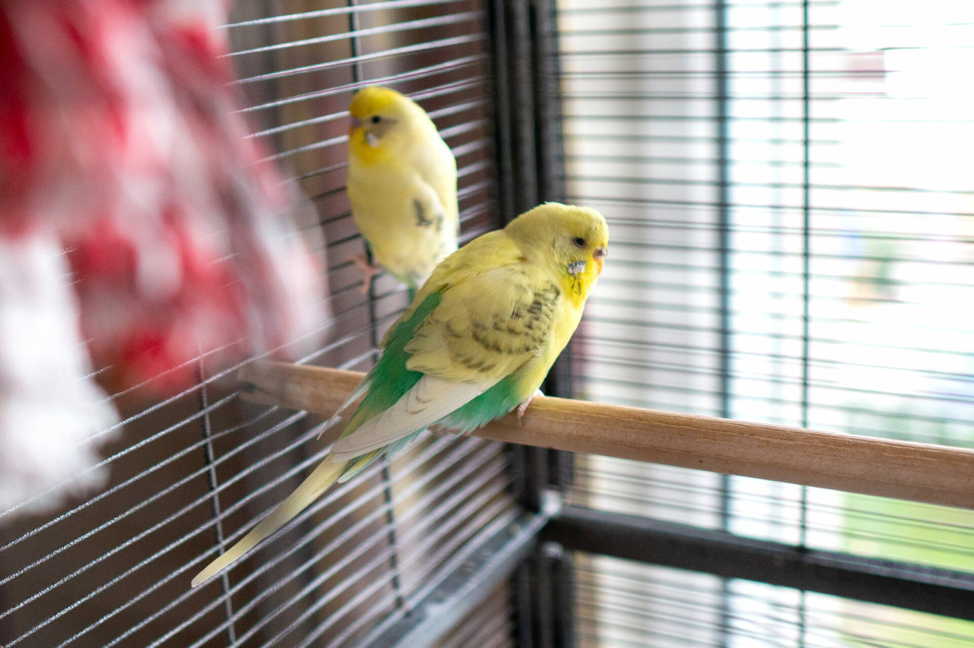 Zentrum Für Betreuung Und Pflege Am Schloss Neuwied Zentrum für Betreuung und Pflege am Schloss Neuwied - Korian