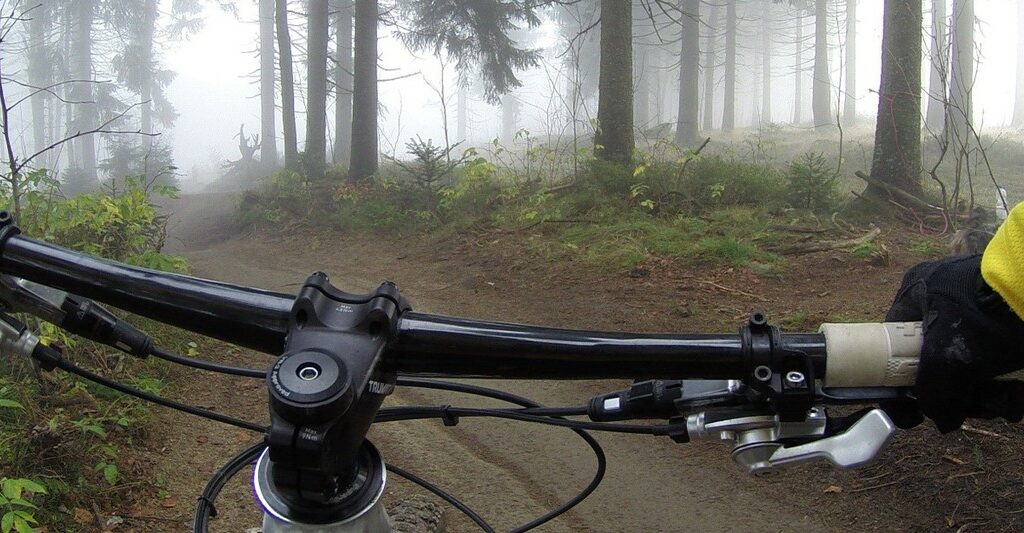 Header Willi