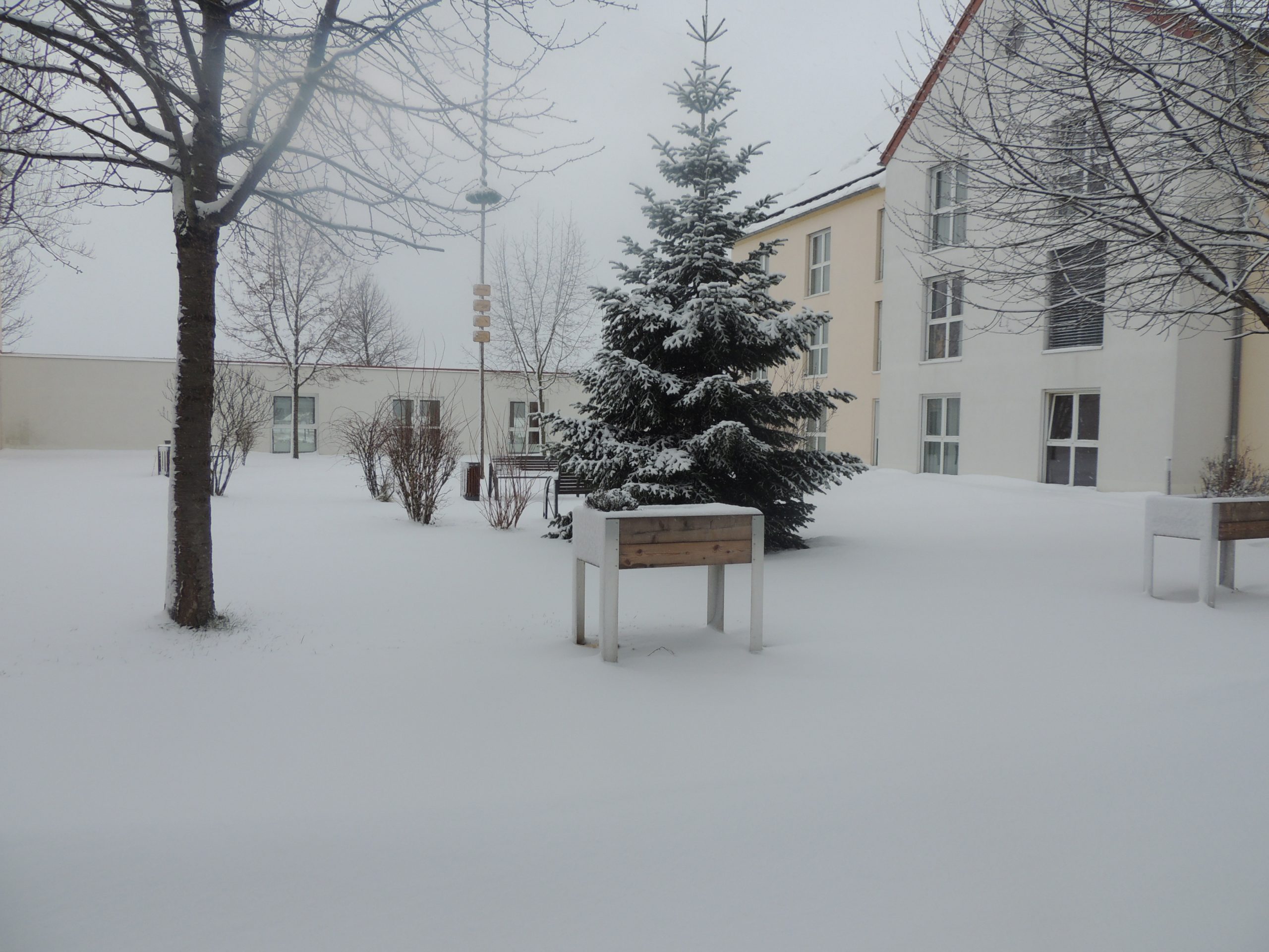 dscn6944.jpg