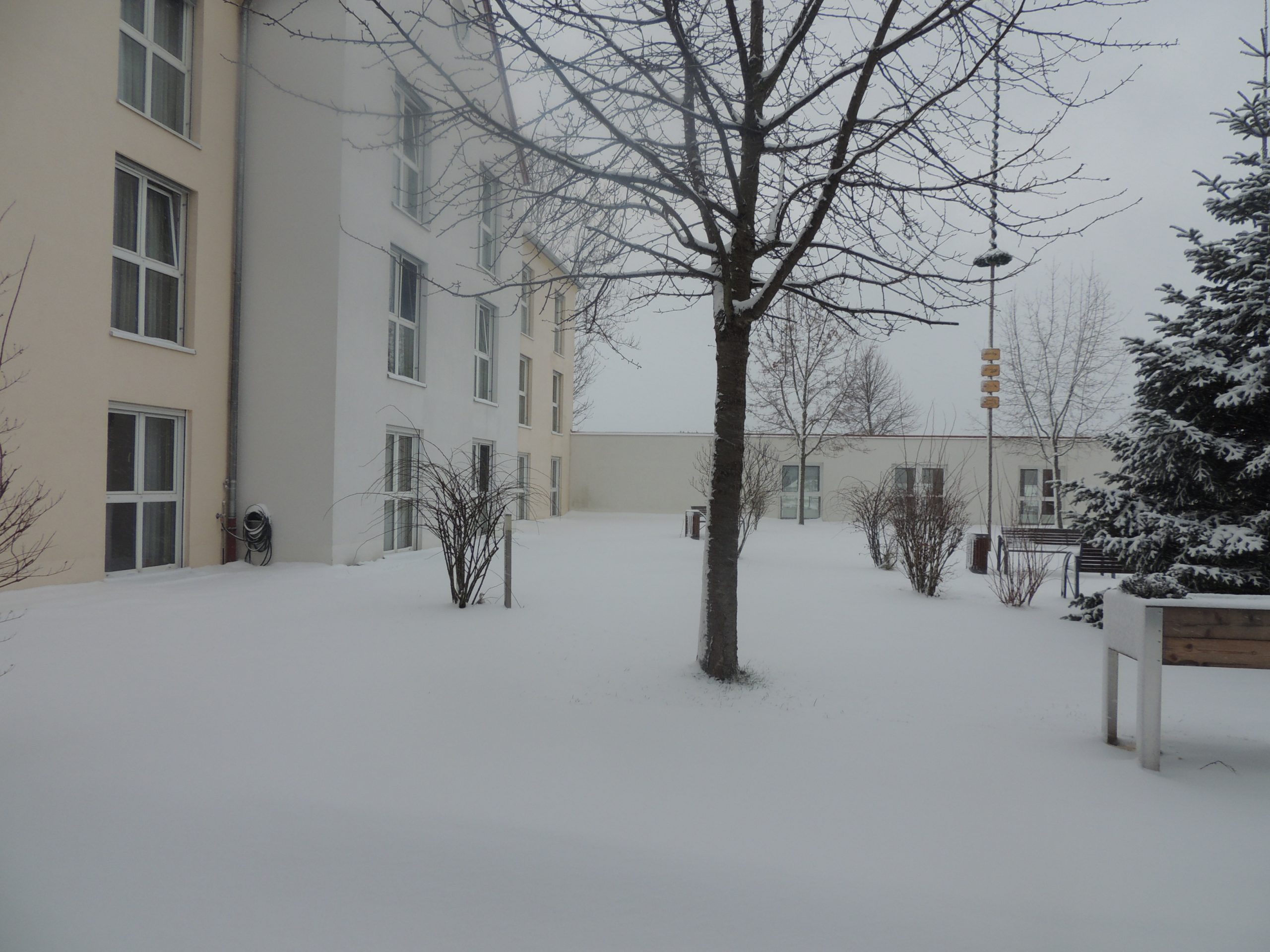 dscn6945.jpg