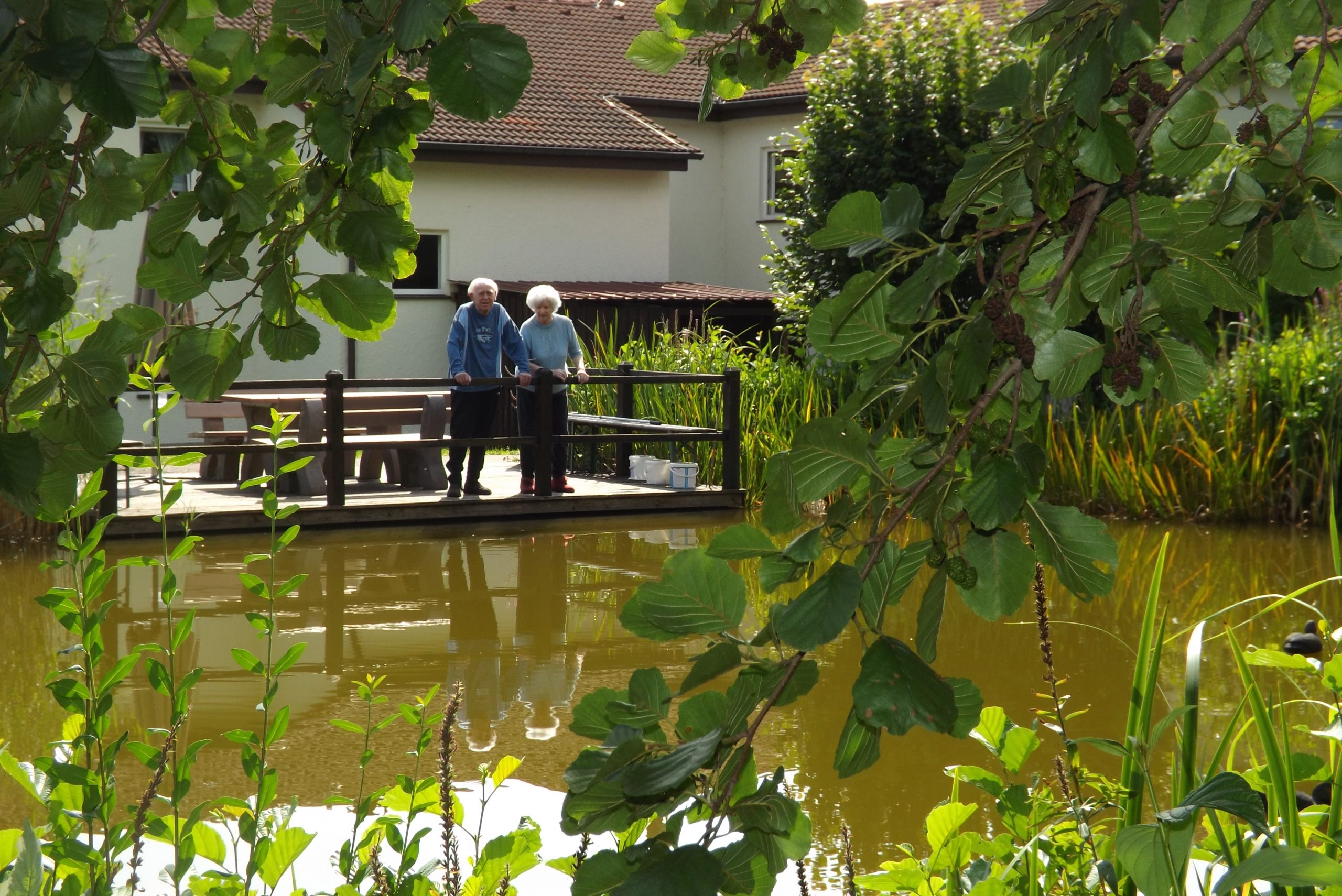 teich-bewohner-1.jpg