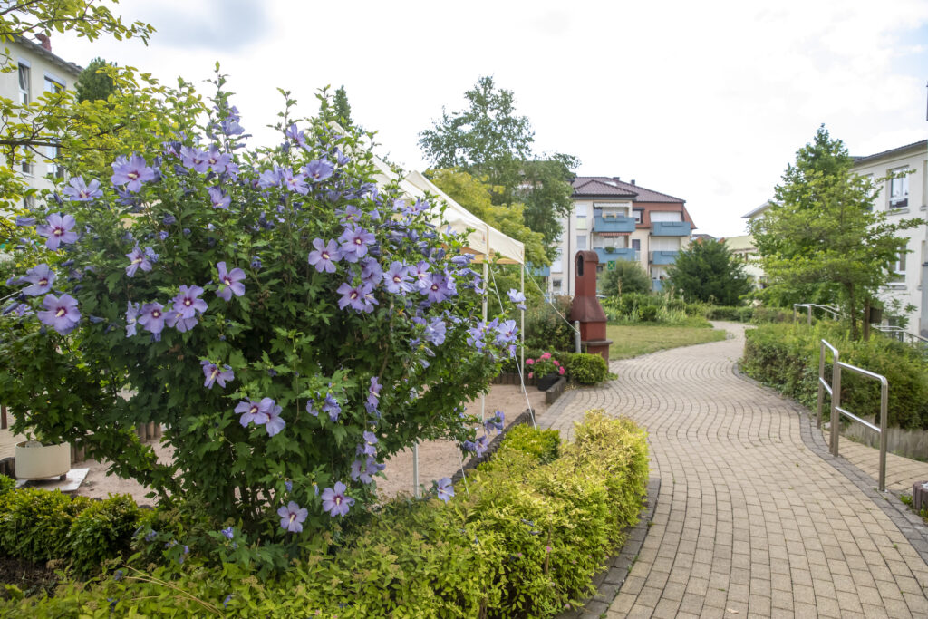 Korian_4043_Pforzheim_Osterfeld_20_07_2023_0184